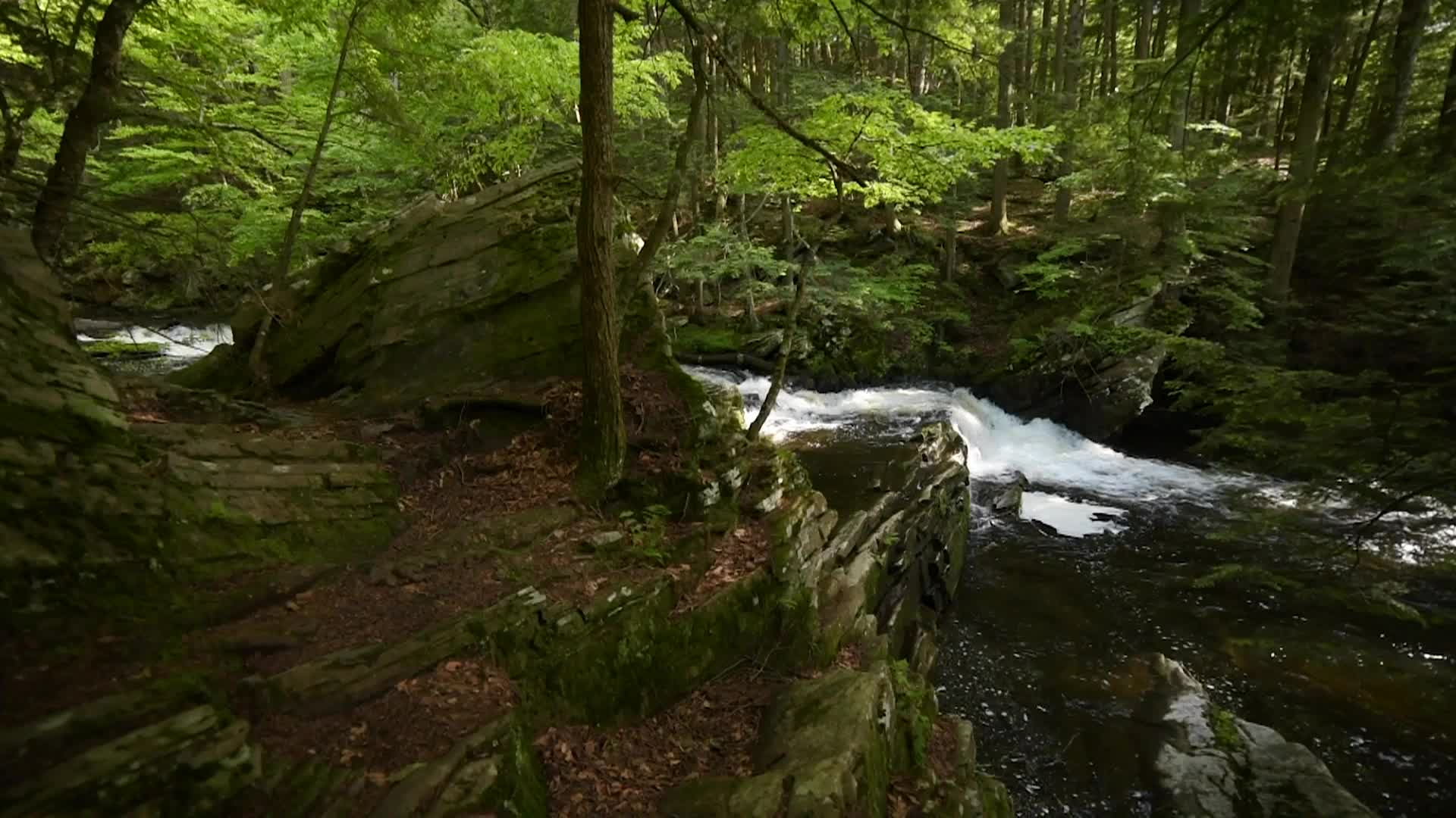 Thumbnail image for Cablecast: Test Footage Compilation